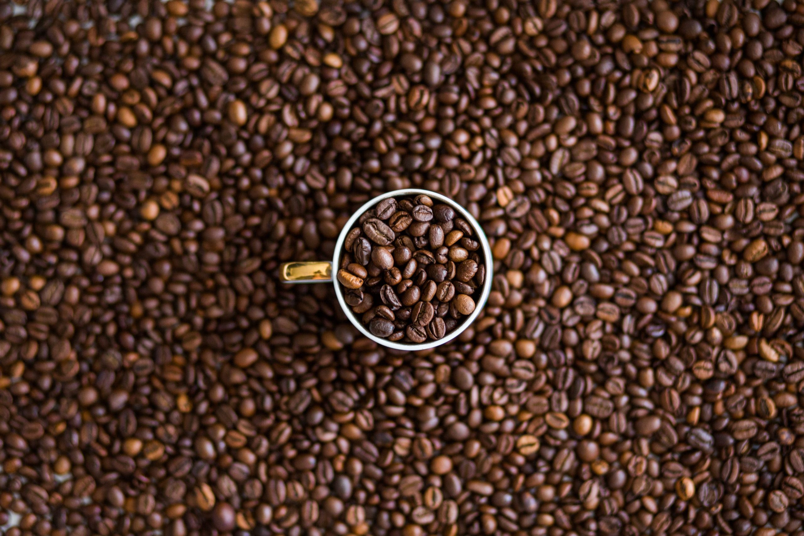 Coffee Beans In Cup