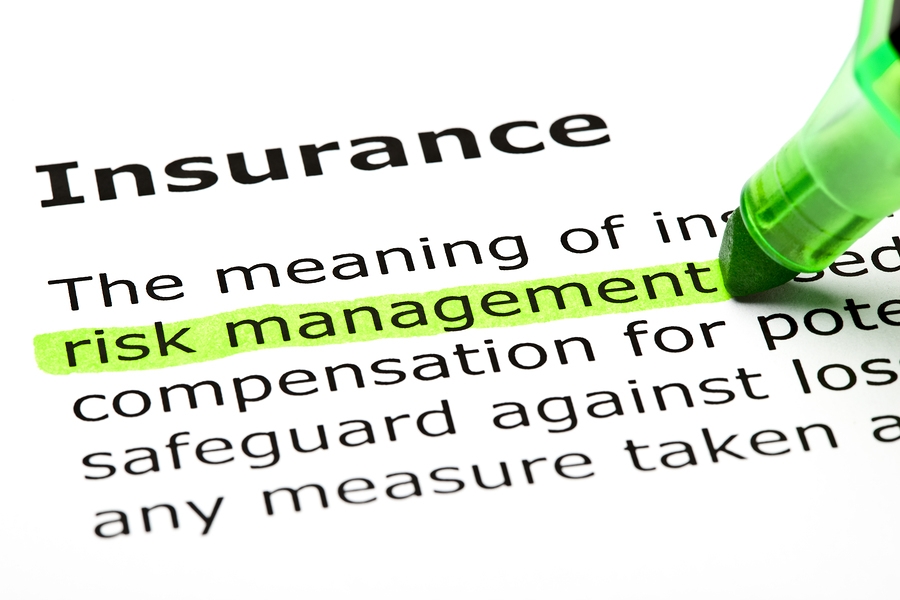 Insurance Risk Management Highlighted